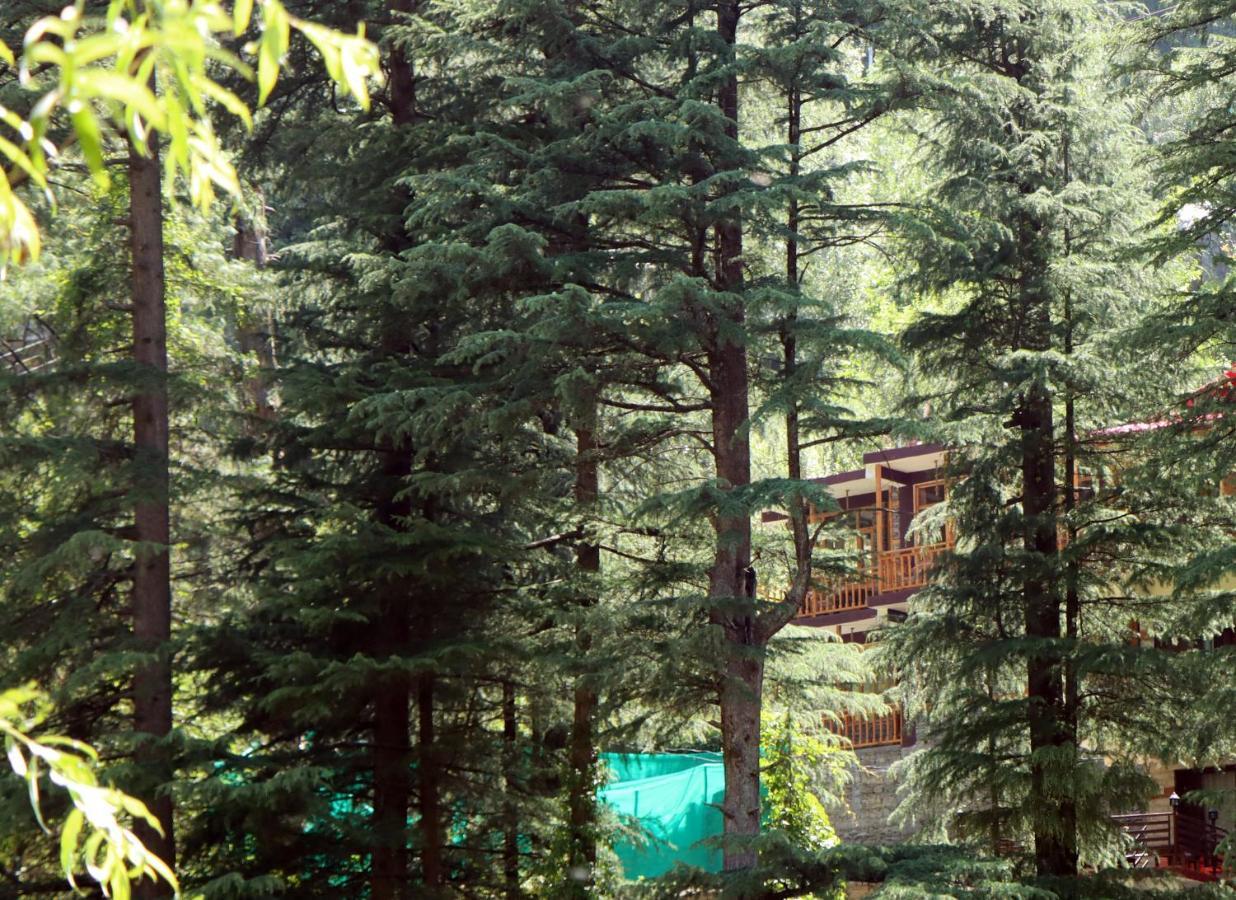 דירות Jibhi The Himalayan Heaven מראה חיצוני תמונה