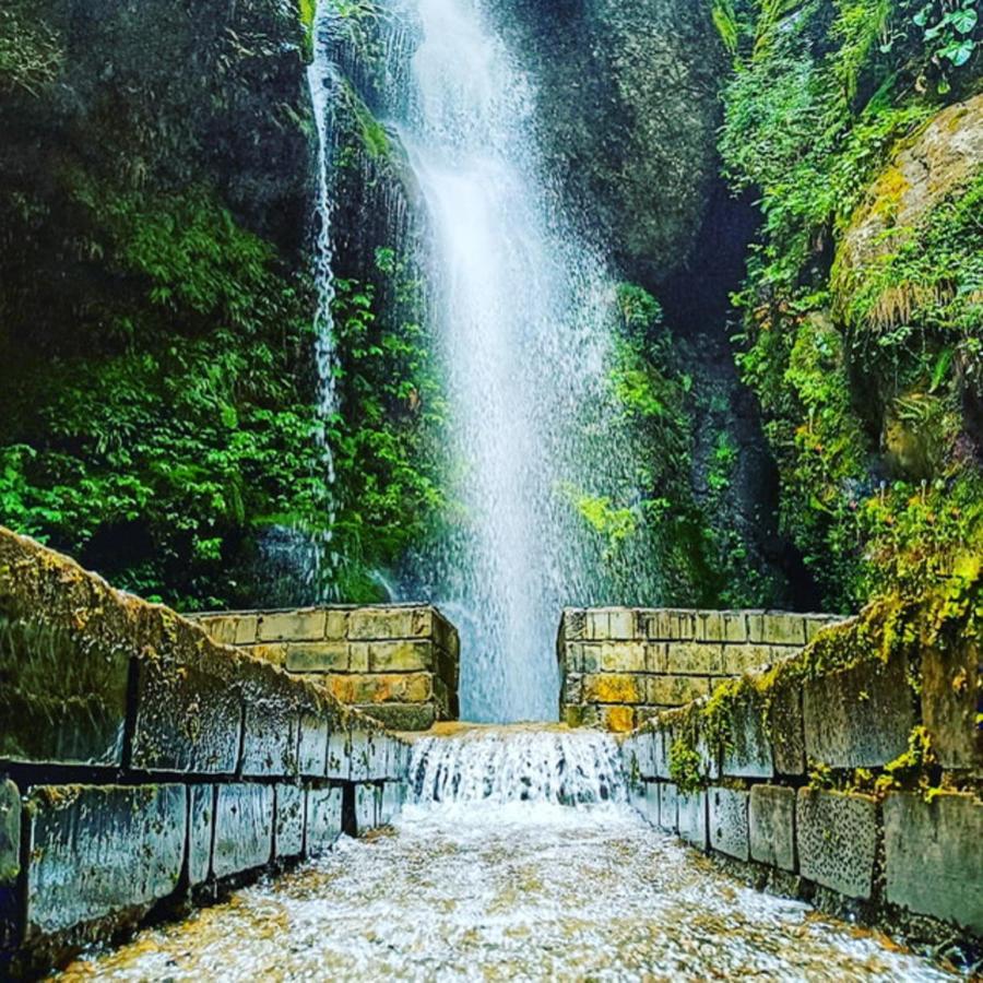 דירות Jibhi The Himalayan Heaven מראה חיצוני תמונה
